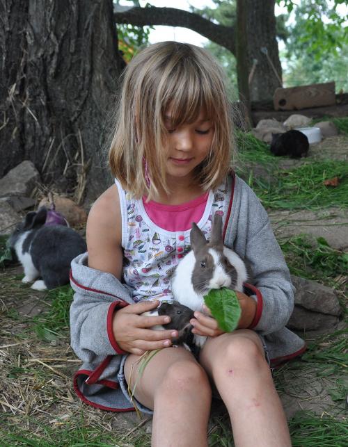 Nara bei den Hasen und Meerschweinchen