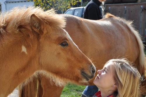 Nele und Katla