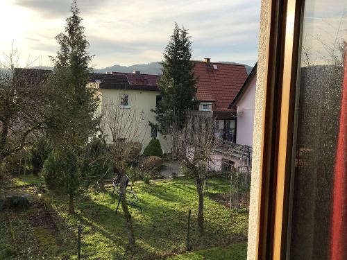 Blick in den Garten