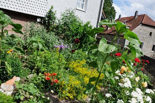 Unser Bauerngarten