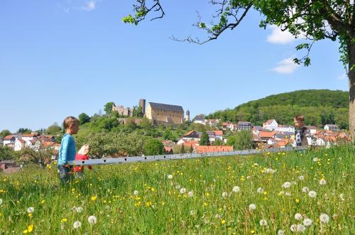 Burg Schwarzenfels