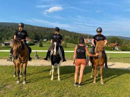 reitunterricht-hofshirt