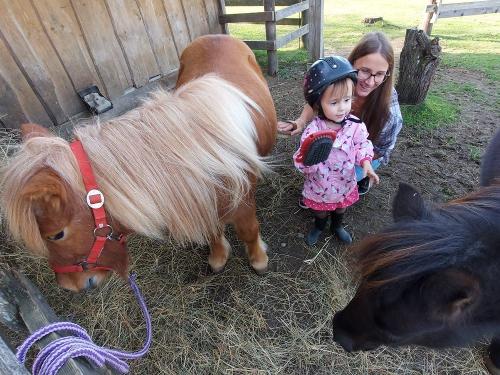 ponystriegeln