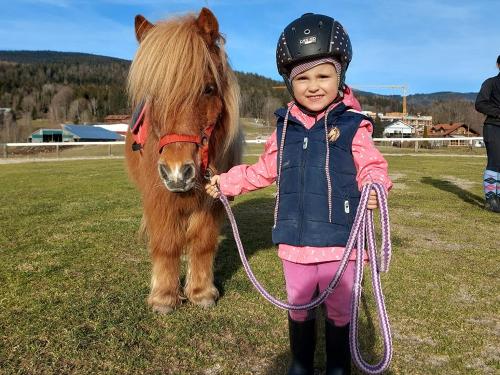 pony-reitplatz