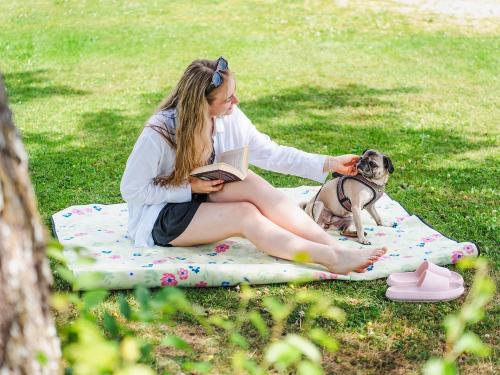 Urlaub_mit_Hund