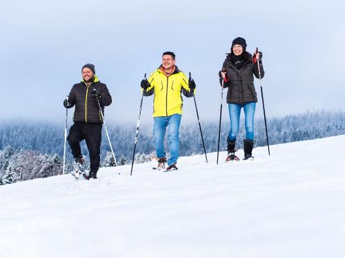 Schneeschuhe zum kostenlosen Verleih