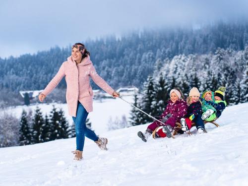 Schlittenfahren am Forellen-Reiterhof