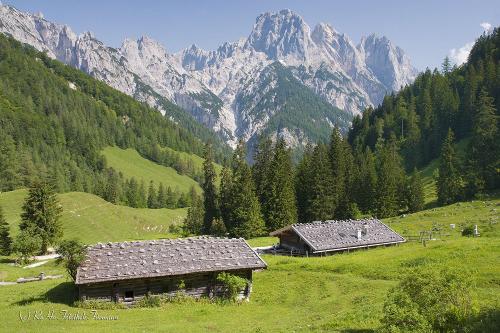 Almen zum Erwandern