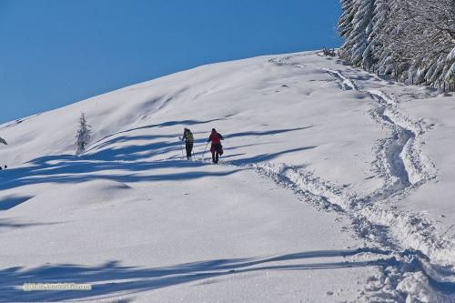 spurenimschnee