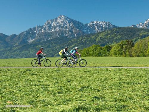Radwege direkt vor unserer Haustüre