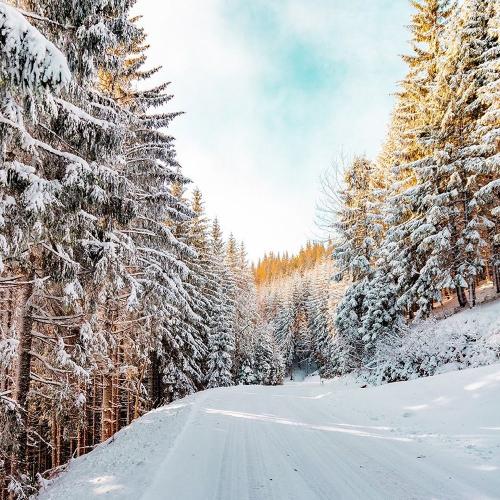 Winterlandschaft