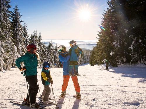 Ski fahren