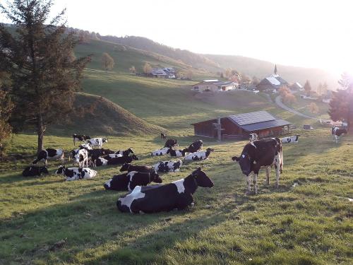 Kirchlehof