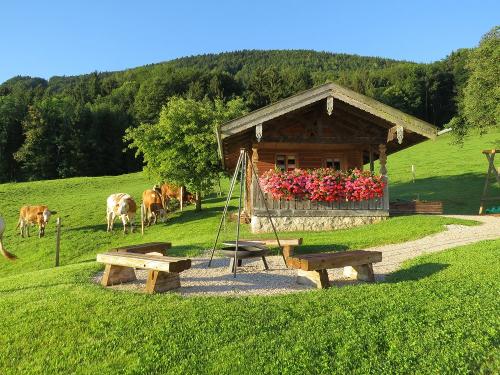 Grillplatz und Schmankerlhütt'n