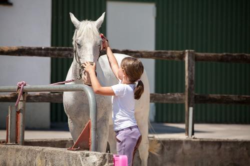 Unsere Reitschüler