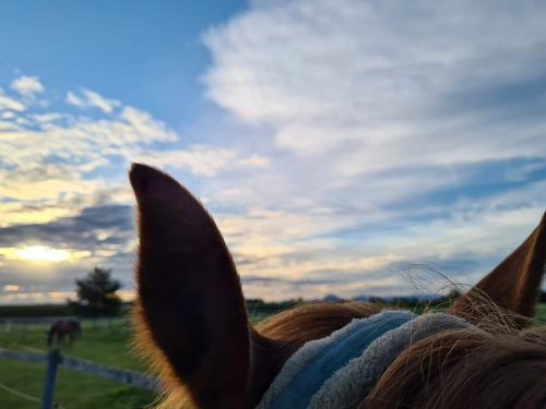 Unser liebster Ausblick