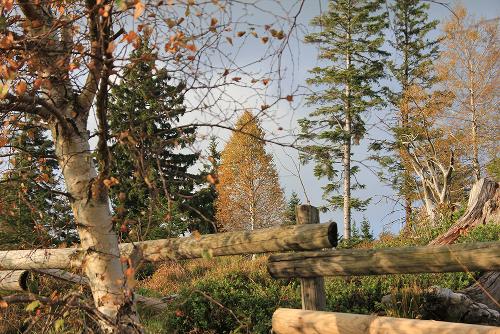 herbst