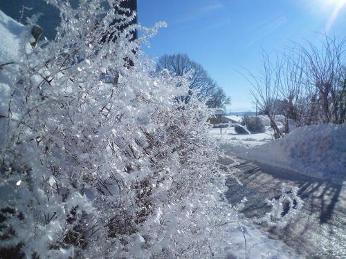 winterzauber