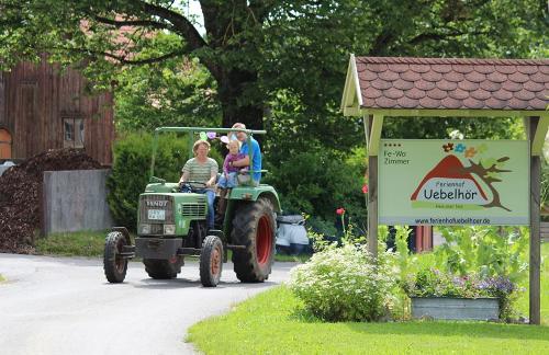 fahrtinsgruene