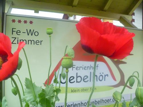 Hofschild mit Logo