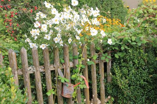 Blick in den Bauerngarten
