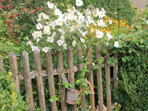 Blick in den Bauerngarten