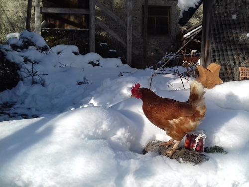 Spaziergang an einem sonnigen Wintertag