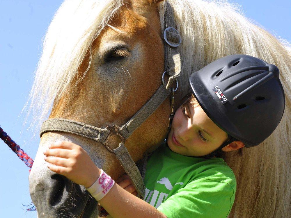 Beste Freunde Beste Freunde