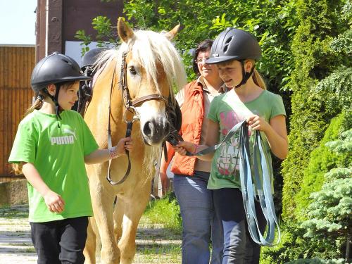 Reiterferien für Kinder