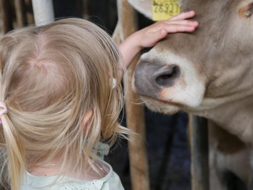 Tiere zum Anfassen