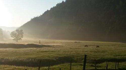 Bei uns am Morgen