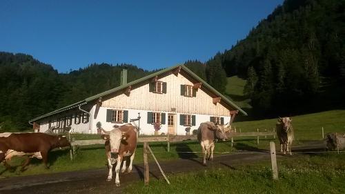 Unsere Alpe "Hinter Au"