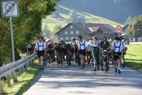 Viehscheid bei uns in Ofterschwang