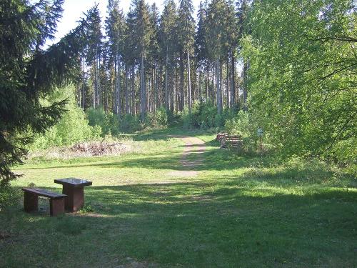 Wanderweg bei Friedrichroda