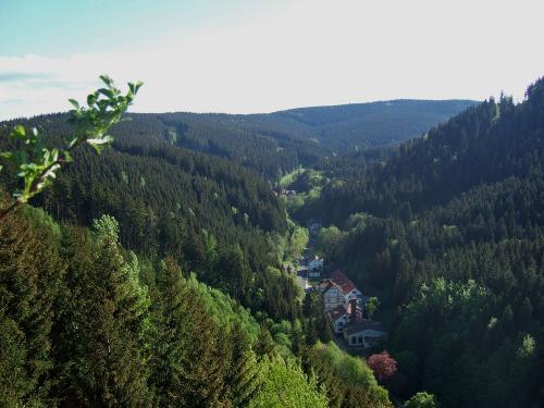 Kühles Tal - Friedrichroda