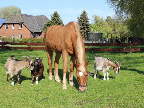 Außenansicht Außenansicht