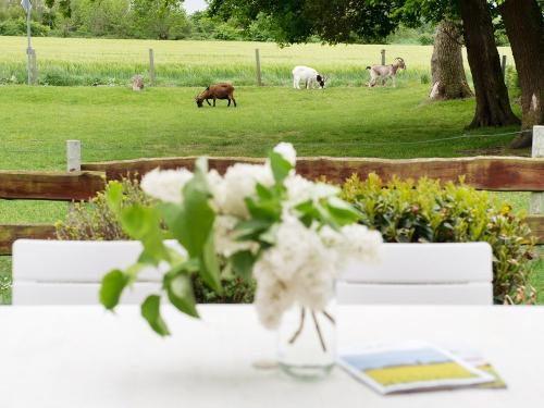 wellnesshaus_018 wellnesshaus_018