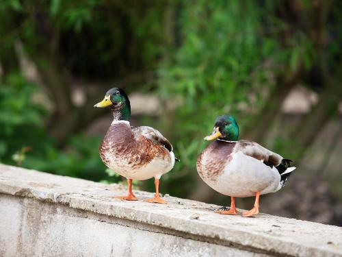 wellnesshaus_061 wellnesshaus_061