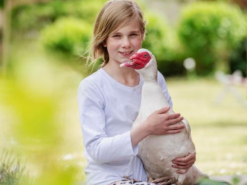 Ferienhof_Ho êper-Rauert_004 Ferienhof_Ho êper-Rauert_004