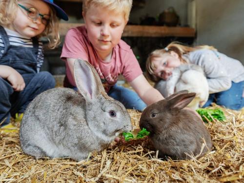 Ferienhof_Ho êper-Rauert_017 Ferienhof_Ho êper-Rauert_017