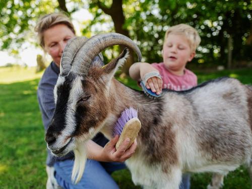 Ferienhof_Ho êper-Rauert_050 Ferienhof_Ho êper-Rauert_050