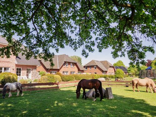 Ferienhof_Ho êper-Rauert_076 Ferienhof_Ho êper-Rauert_076