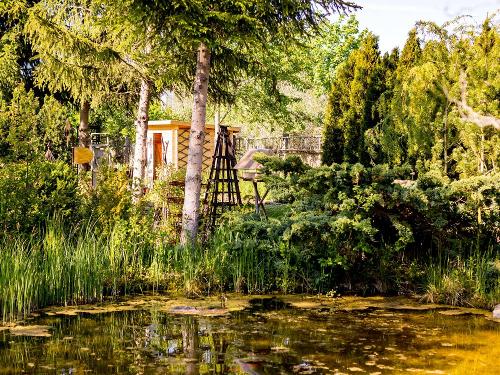 Teich im Garten