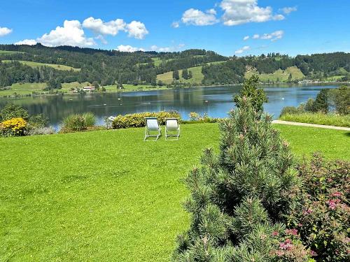 Alpsee immer als Hauptattraktion