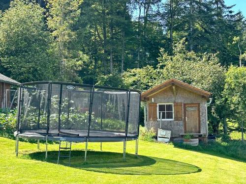Großes Trampolin