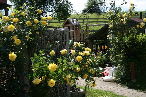 Bei uns im Garten