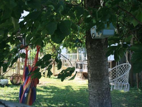 Relaxen bei den Hasen