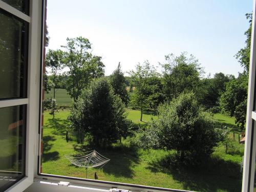 Ausblick