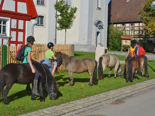 Ponyreiten