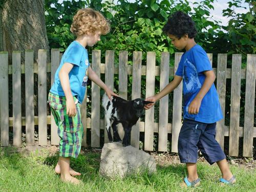 Zwei Jungen mit Ziege